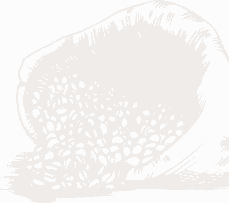 contact-bg-an-01
